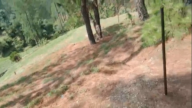 Badripur, Dehradun, Uttarakhand, India