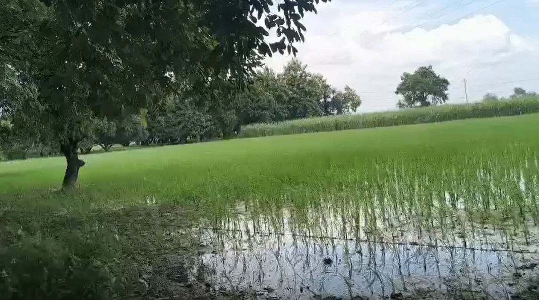 Kushli, Jabalpur, Madhya Pradesh 483119, India