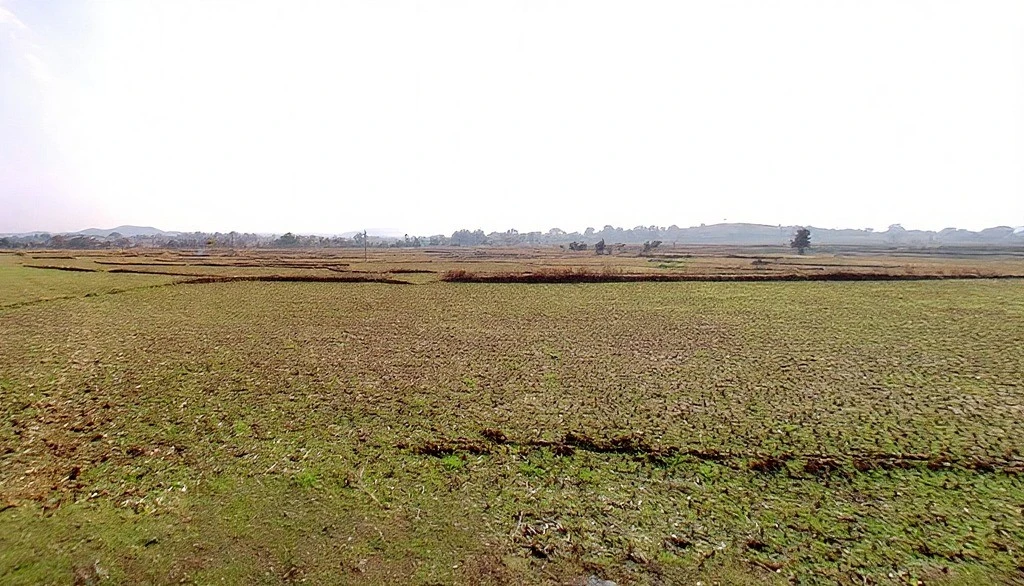 Dowaru, Jharkhand 835102, India