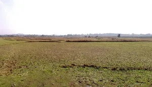 Dowaru, Jharkhand 835102, India preview 2