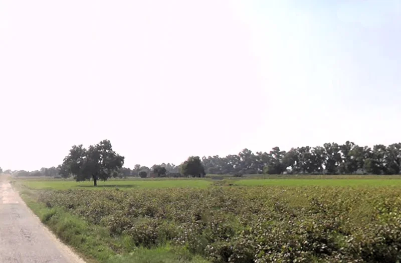 Nanuana, Haryana 125076, India preview 2