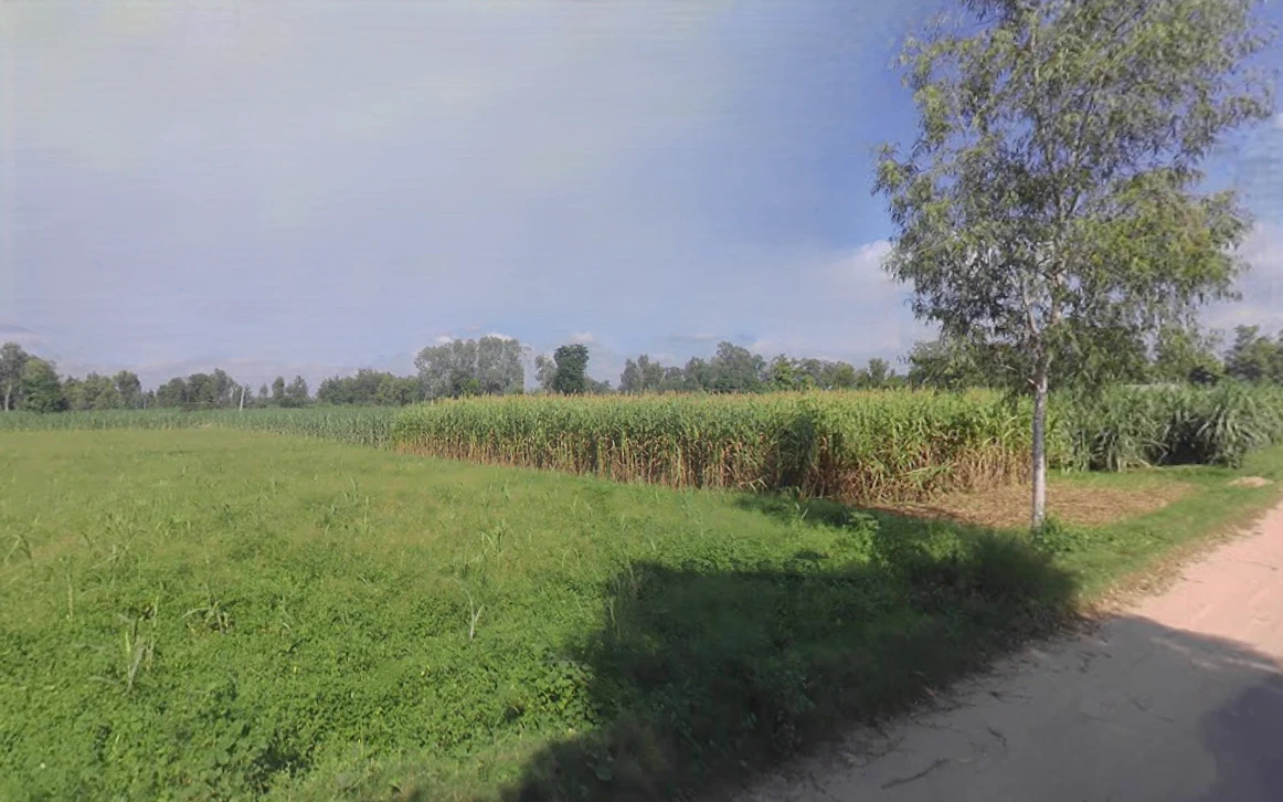 Bijopura, Uttar Pradesh 251307, India