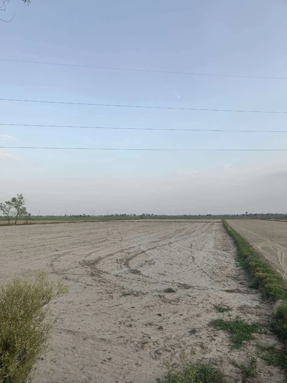Sankhi, Uttar Pradesh 281401, India preview 3