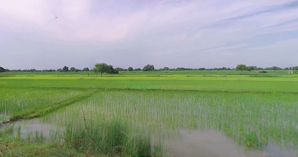 Jewar, Uttar Pradesh 203135, India