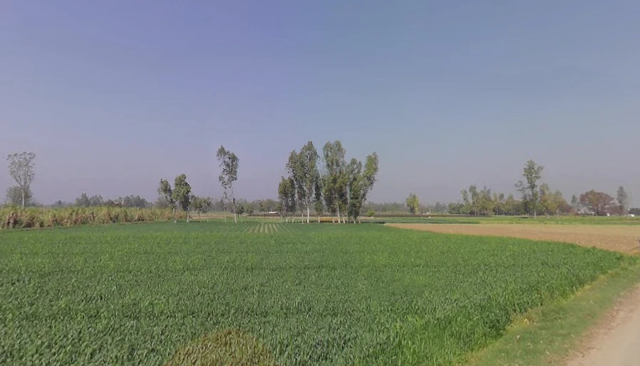 Mawana - Phalauda Rd, Mawana, Uttar Pradesh 250401, India