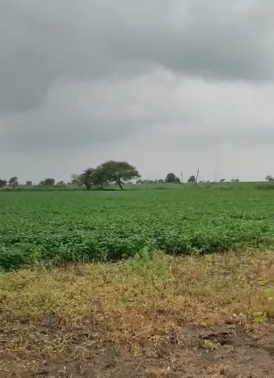 Samnapur, Raisen, Madhya Pradesh 464573, India preview 2
