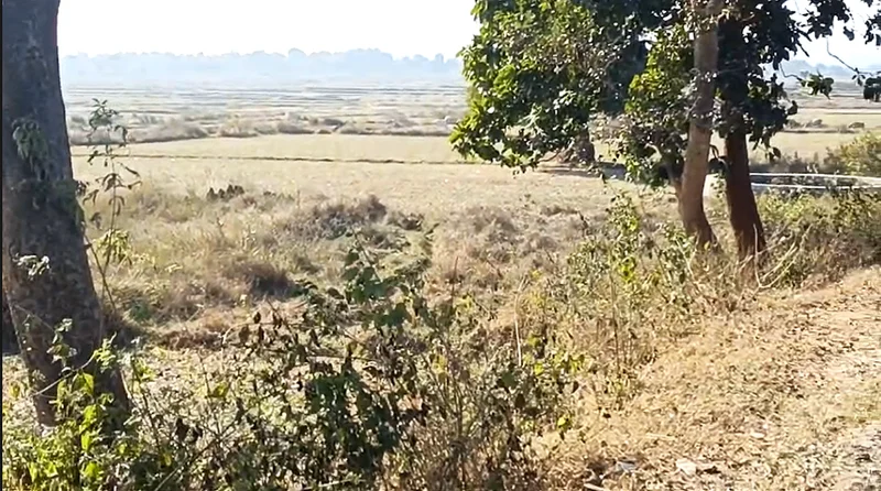 Bundu, Jharkhand 835204, India preview 2