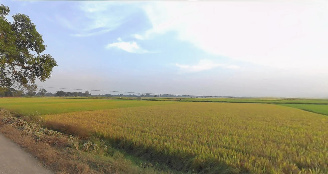 Shikharpur P.O, Bagu, Newtown, Sikharpur, Kolkata, West Bengal 700135, India preview 2