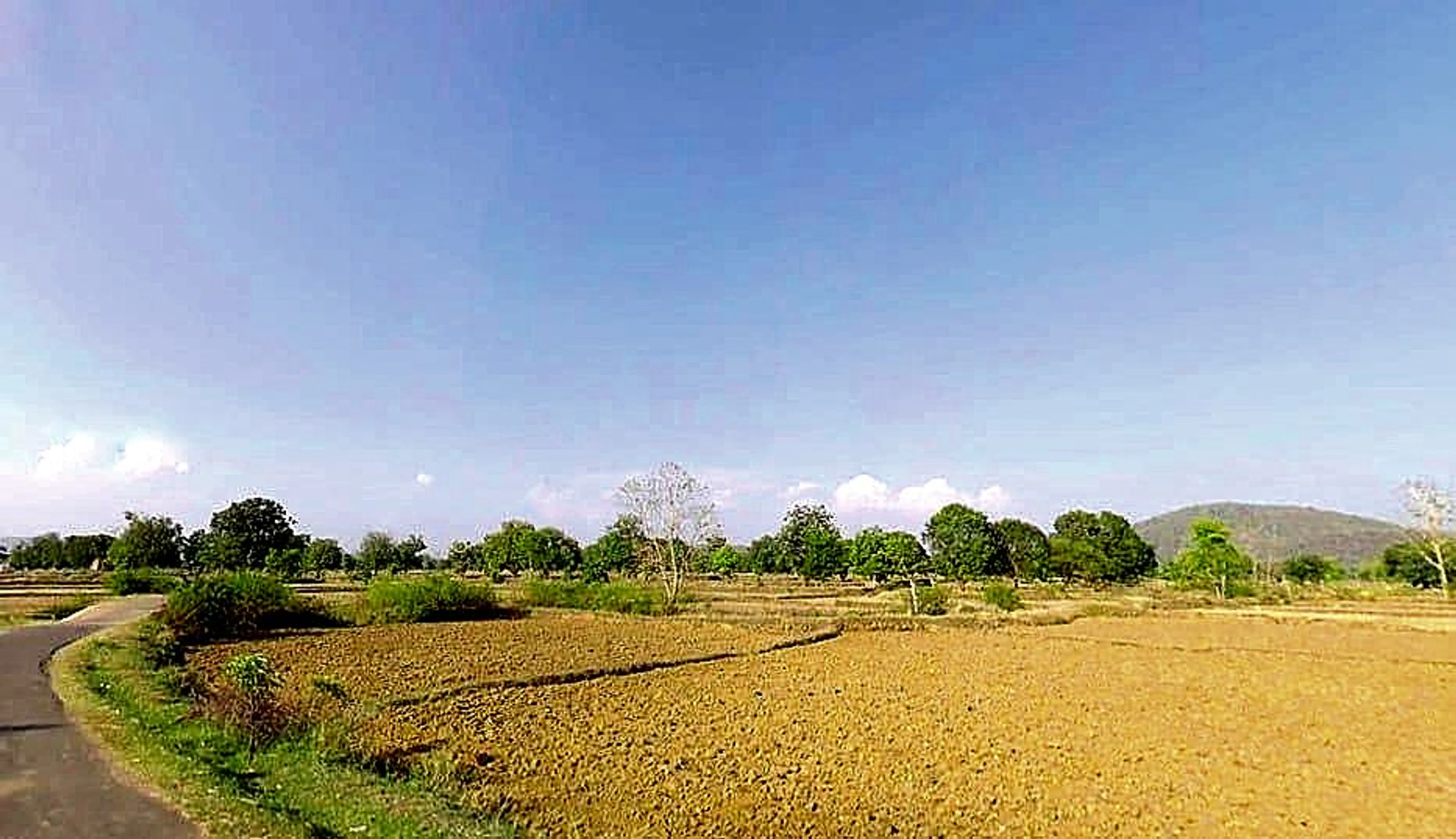 Agarpura, Rajasthan 311011, India