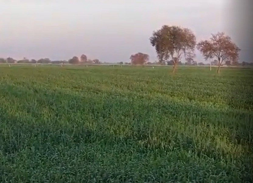 Hapur Bypass Rd, Dhir Khera, Uttar Pradesh, India preview 2
