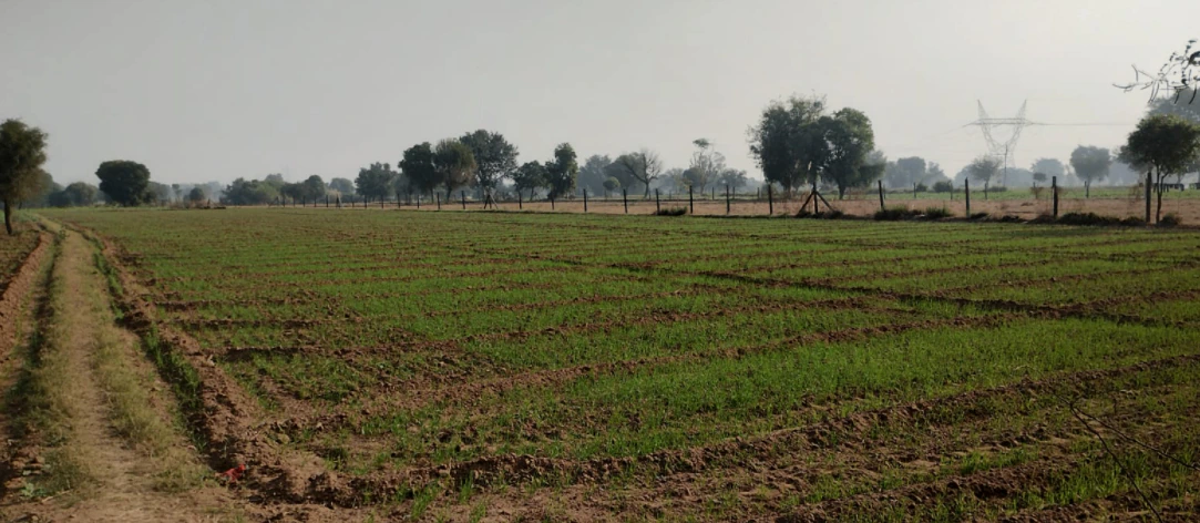 Khanna, Punjab, India
