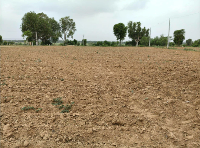 Banchari, Haryana, India