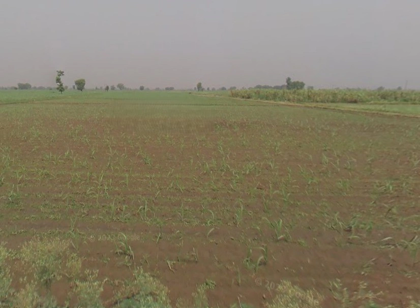 Baraut, Uttar Pradesh 250611, India