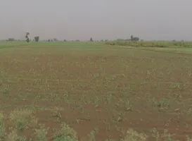 Baraut, Uttar Pradesh 250611, India preview 2