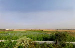 Bhopani, Faridabad, Haryana, India preview 3