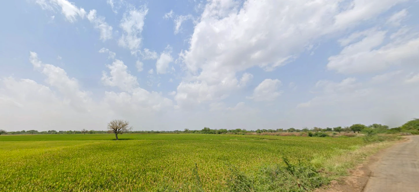 Ayalki, Haryana 125051, India