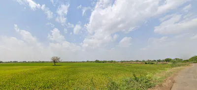 Ayalki, Haryana 125051, India preview 2