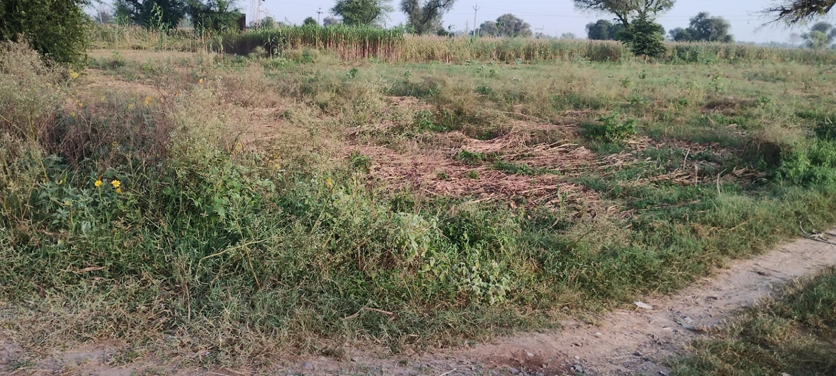 Jugrawar, Rajasthan, India