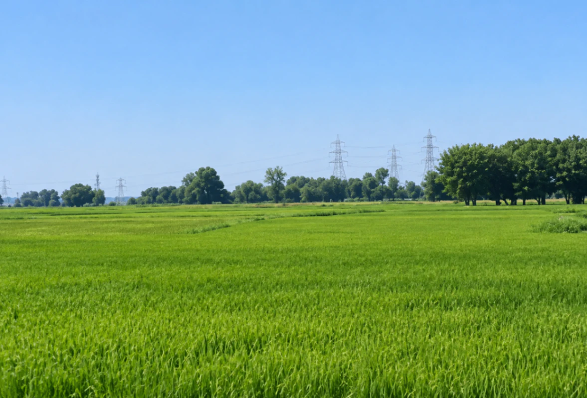 Basgit, Azamgarh, Uttar Pradesh 276128, India