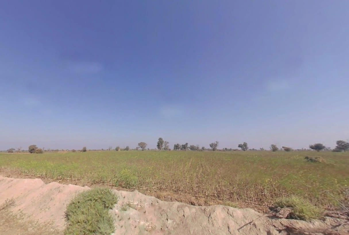 JGMV+QC Sultaniya, Rajasthan, India