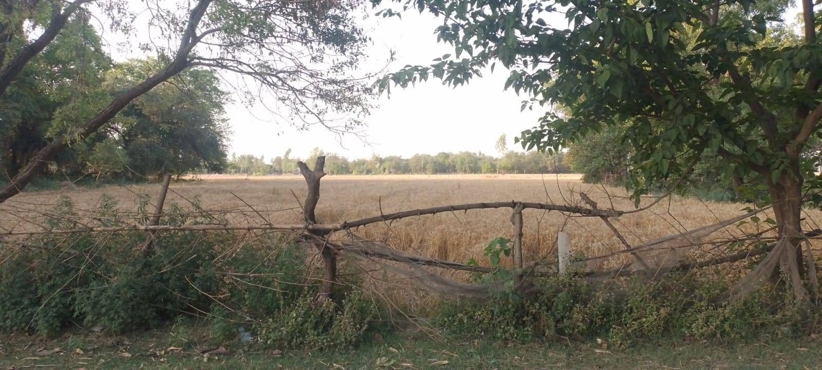 Tibra, Uttar Pradesh 201204, India