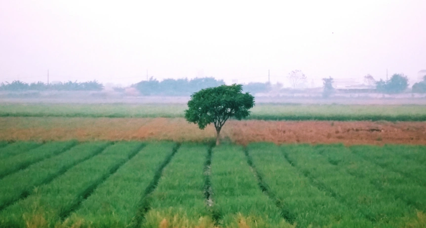 6H64+GC Pithlokhar, Uttar Pradesh, India preview 6