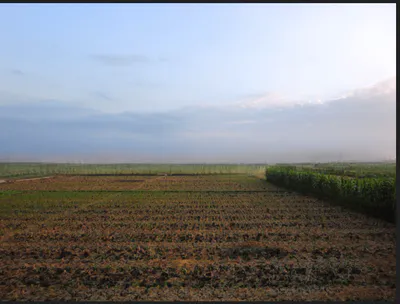 Bhainswal, Haryana 132104, India preview 2
