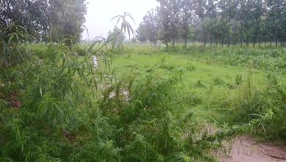 Manikpur, Chitrakoot, Uttar Pradesh 210208, India