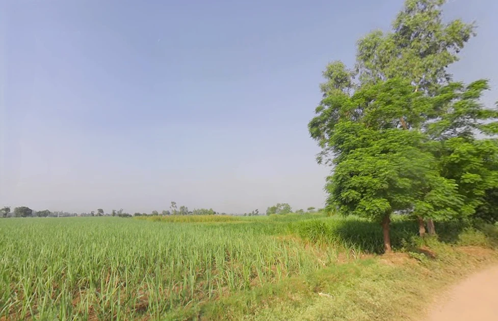 Shahpur, Uttar Pradesh 251318, India