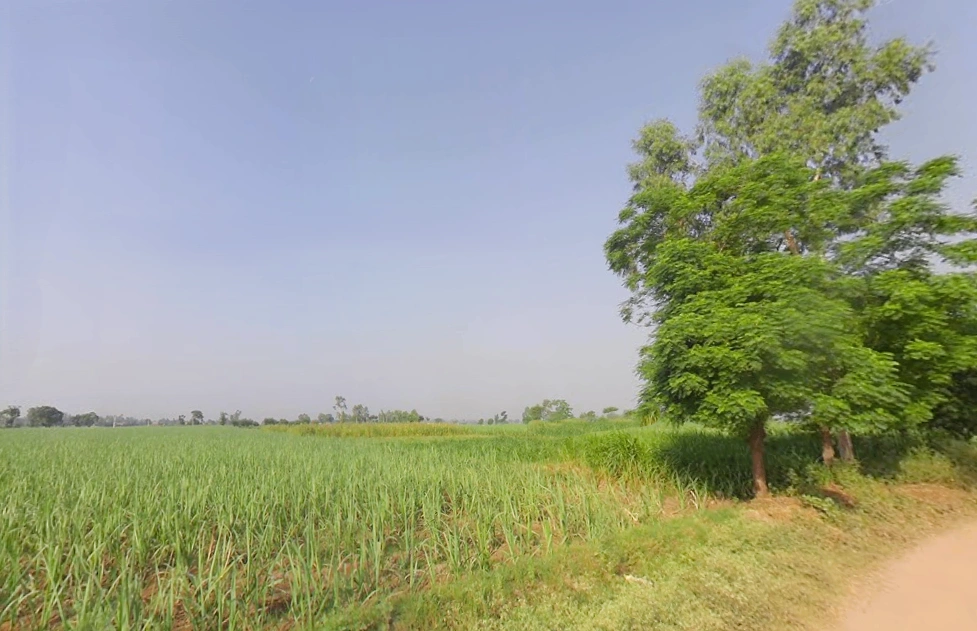 Shahpur, Uttar Pradesh 251318, India