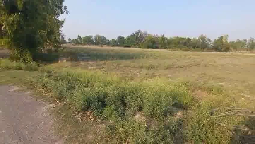 Mohanlalganj, Uttar Pradesh 226301, India