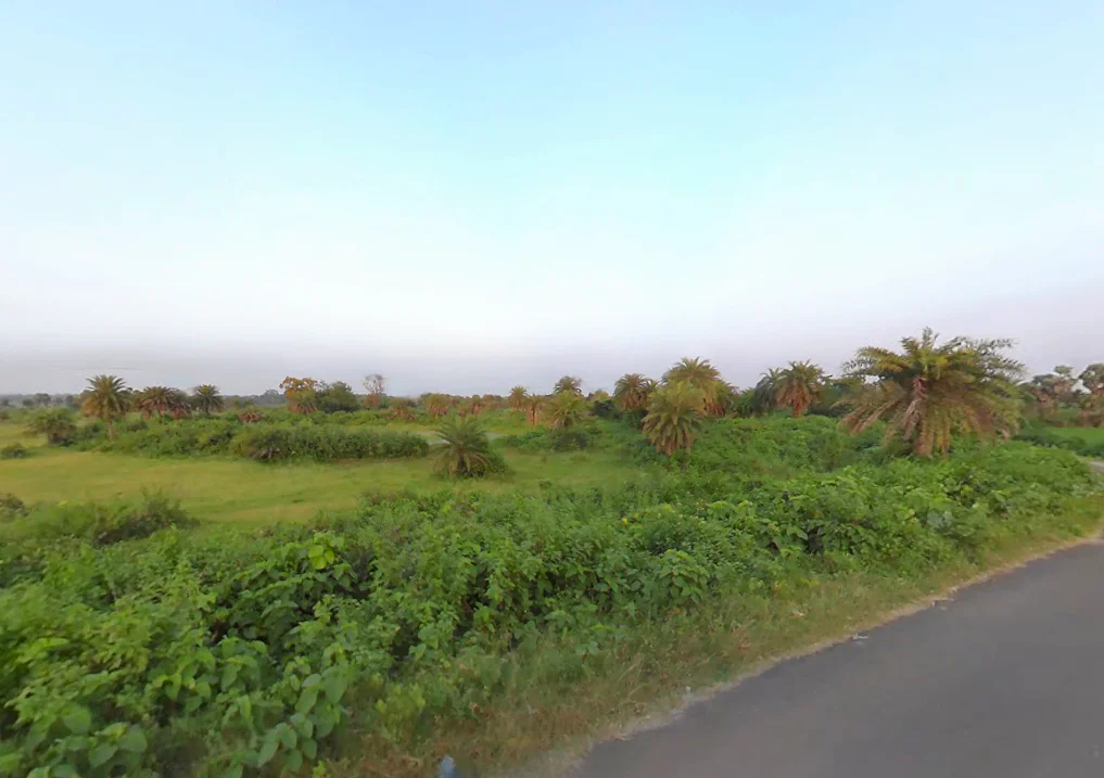 Godardihi, West Bengal 722203, India preview 3