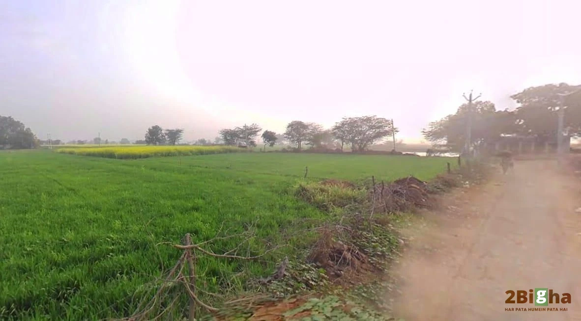 Khatauli, Uttar Pradesh 251201, India