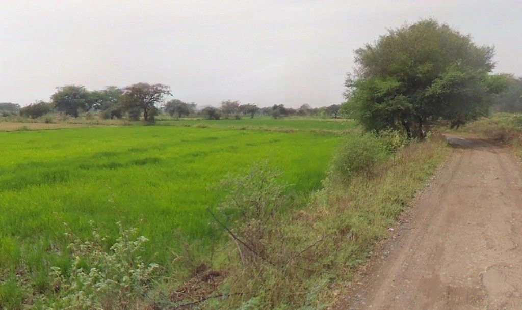 Sitalpur, Bihar, India