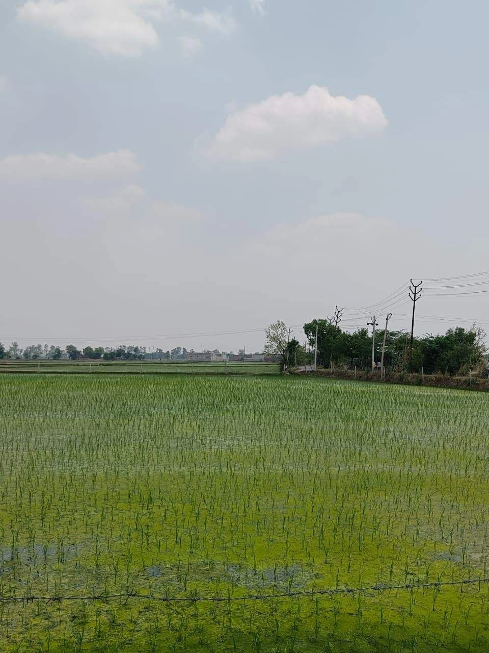 Gharwari, Rajasthan 321201, India