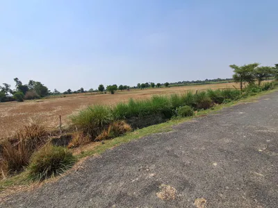 M2RH+C4 Taram Khas, Uttar Pradesh, India preview 2