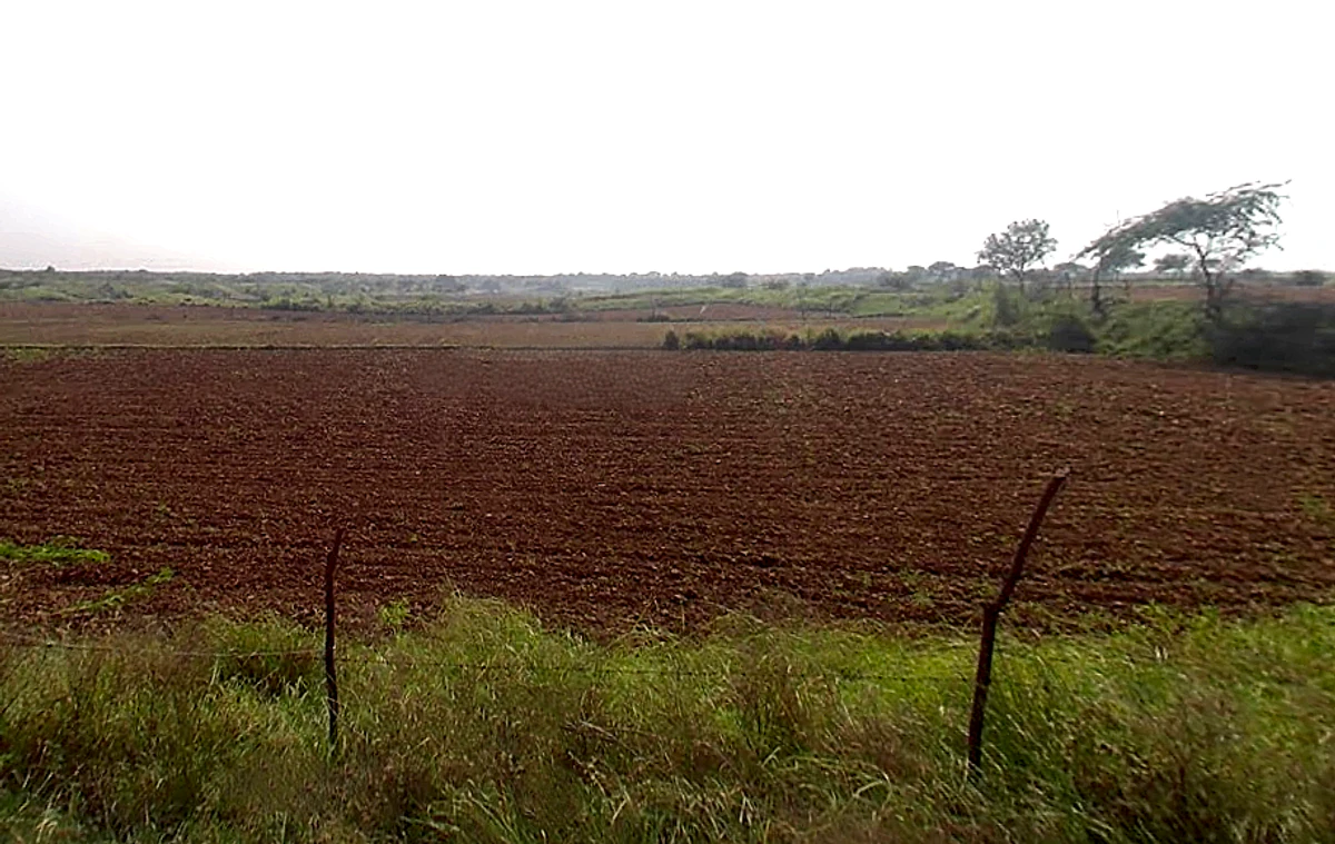 Nibhana, Uttar Pradesh, India