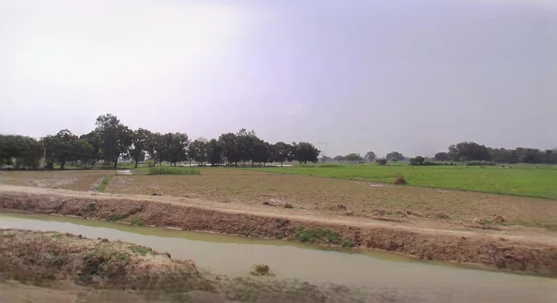 Barnagar, Madhya Pradesh 456771, India preview 3