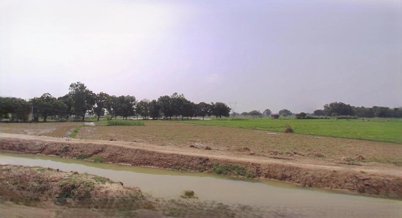 Barnagar, Madhya Pradesh 456771, India