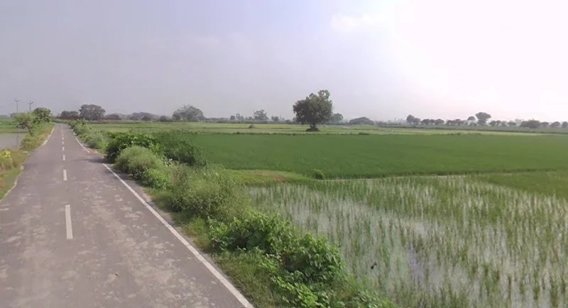 GRX6+PRG, Balrangran, Haryana 132040, India preview 2