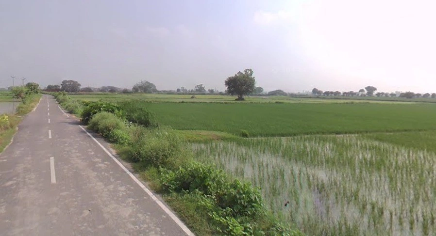 GRX6+PRG, Balrangran, Haryana 132040, India