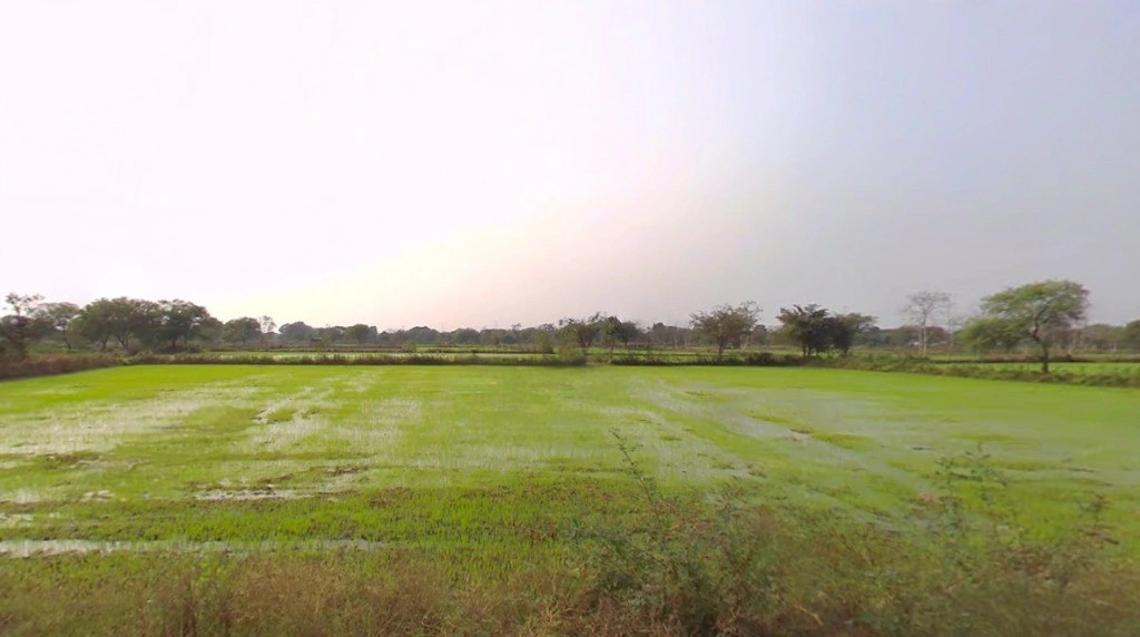 Rajnandgaon, Chhattisgarh 491441, India