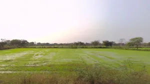 Rajnandgaon, Chhattisgarh 491441, India preview 3