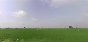 Begpur, Haryana, India preview 3