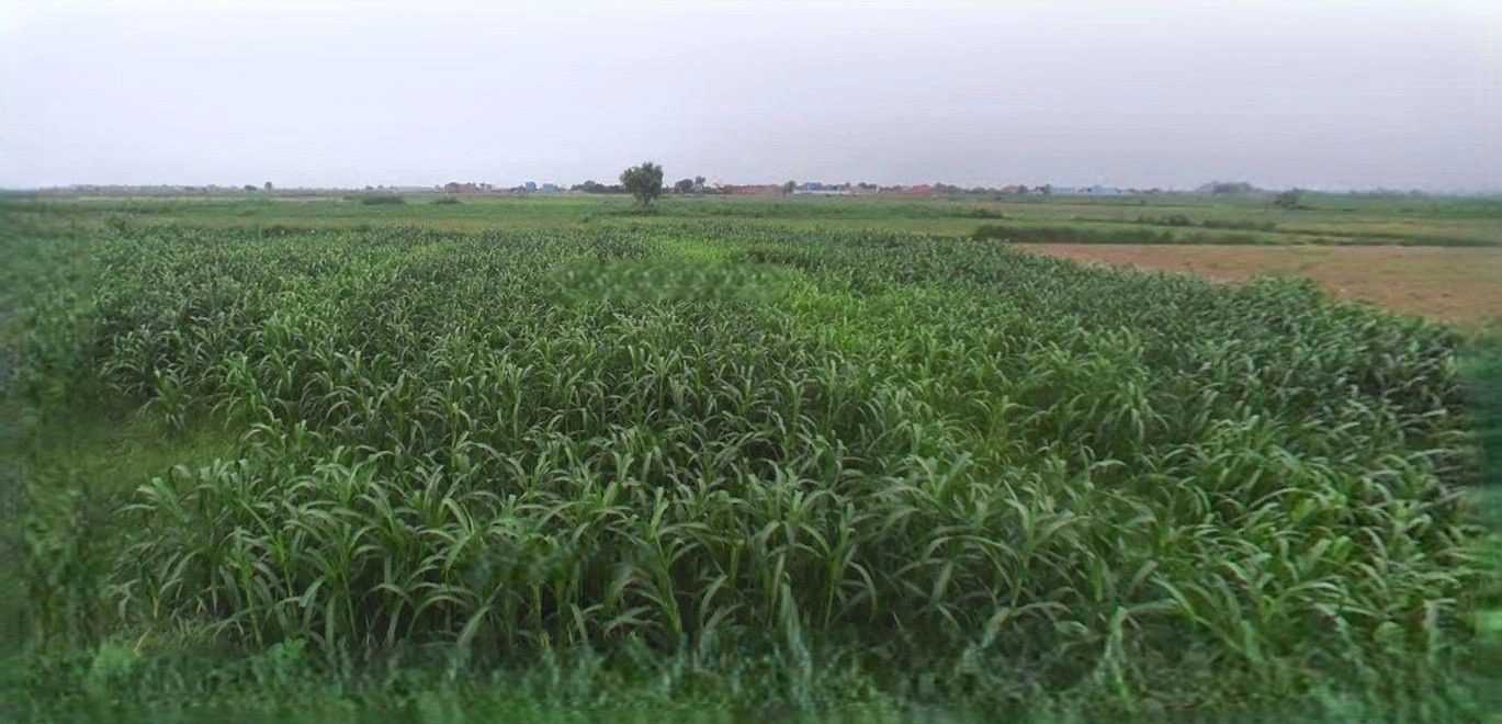 Kurukshetra, Haryana, India preview 2