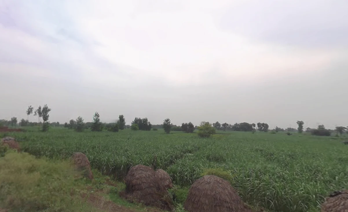 Thakurdwara, Uttar Pradesh 244601, India
