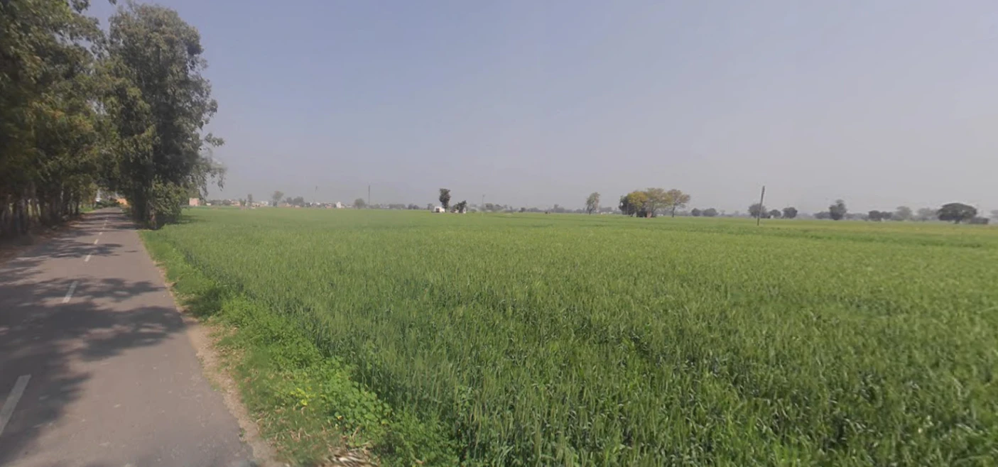 Matour, Haryana, India