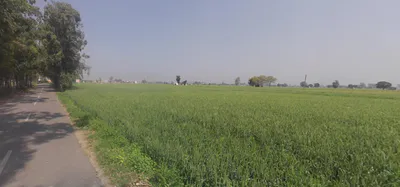 Matour, Haryana, India preview 2