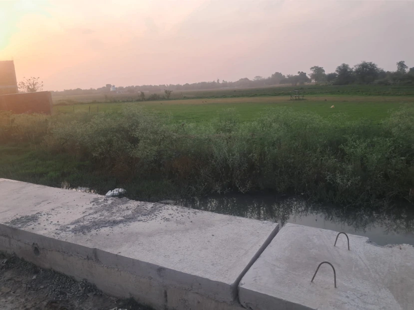 Barnagar, Madhya Pradesh 456771, India