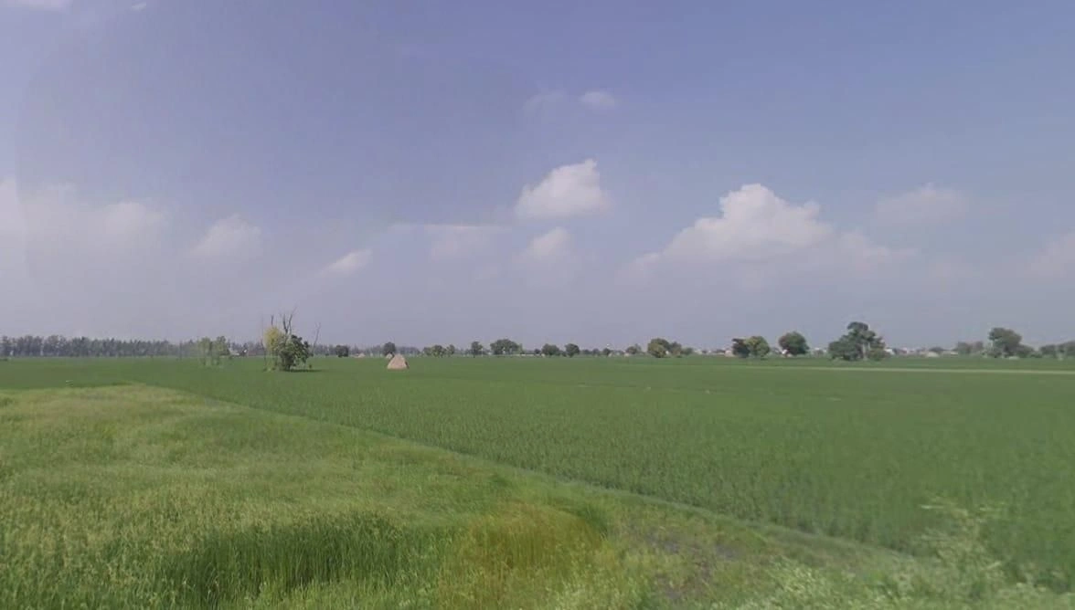 Richhi, Madhya Pradesh 455336, India preview 3